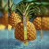 PINEAPPLE - A pineapple splash with a bright tropical twist